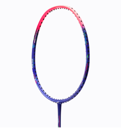Hundred POWERTEK 1000 PRO STRUNG Badminton Rackets