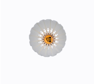 Hundred F10 SPEED 76 Shuttlecock