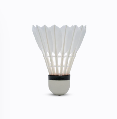 Hundred F10 SPEED 76 Shuttlecock