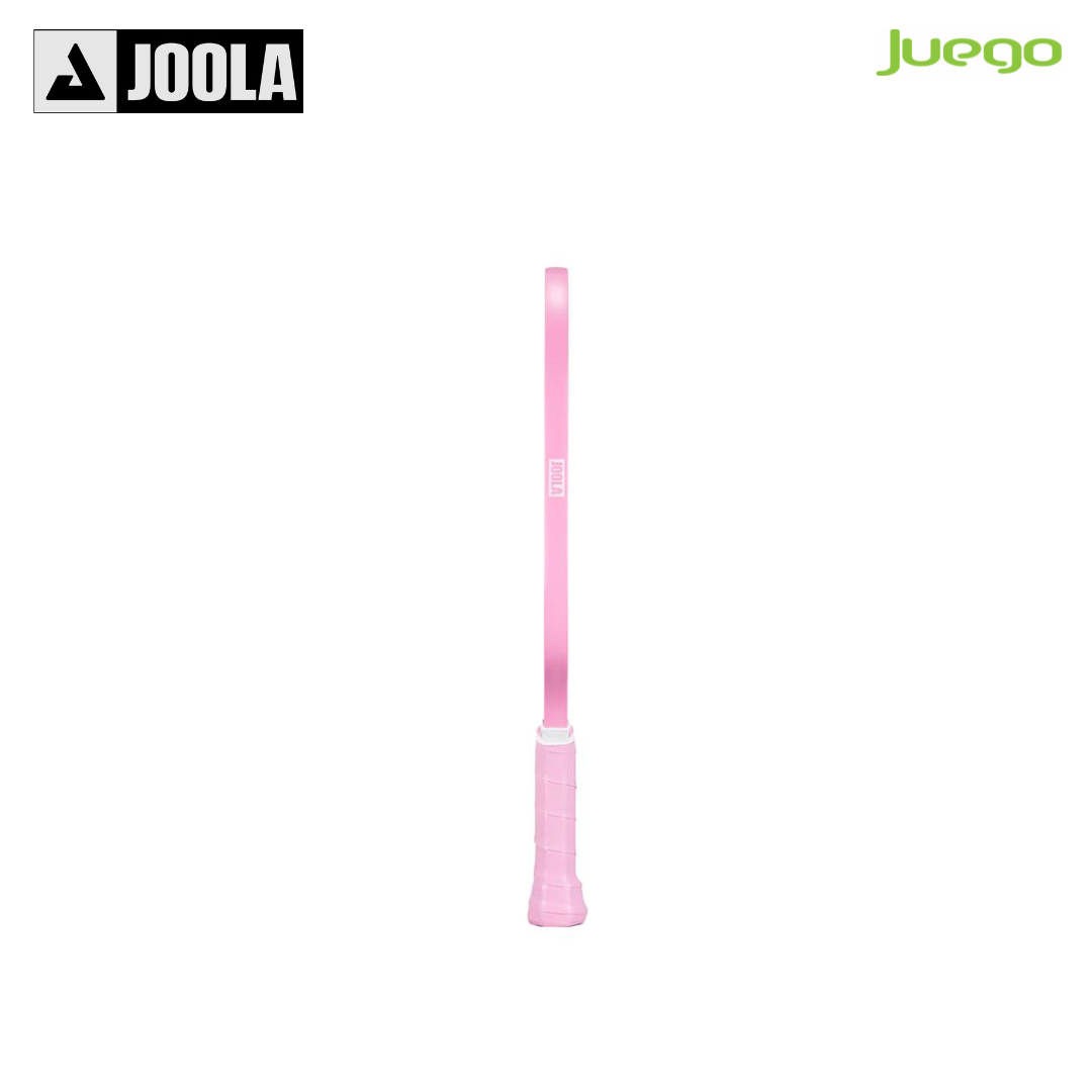 JOOLA Dash Pickleball Paddle