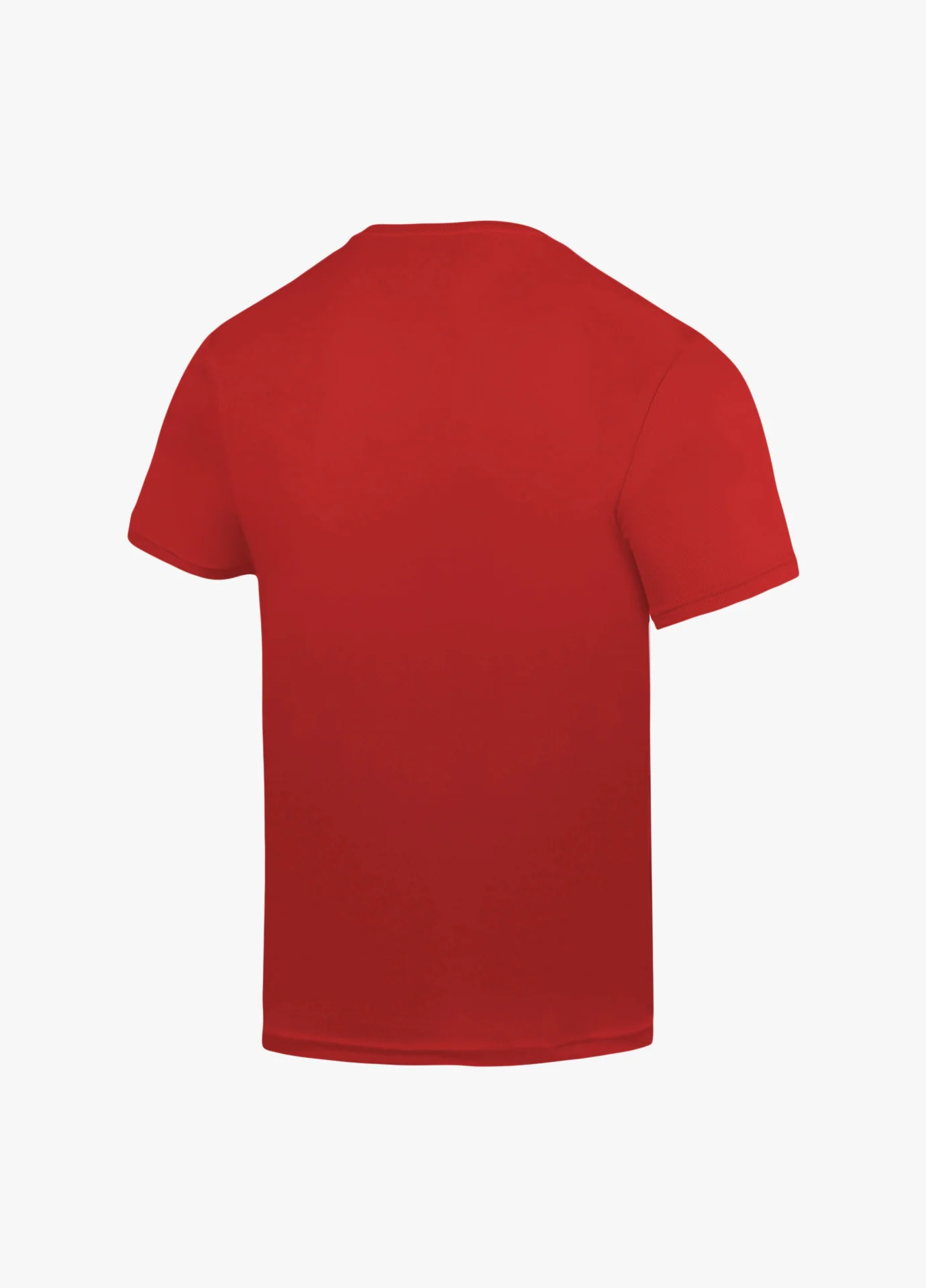YONEX CREW NECK TEE TEAM WEAR 1 RM-S092-2979-TW1